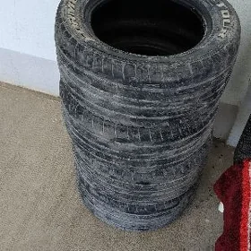 Vils formula