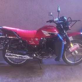 Fekon FK150-8G 2026