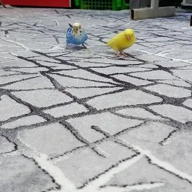 pupugay