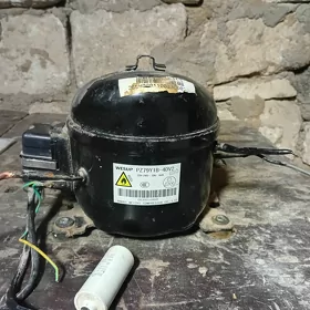 Haladelnik matory