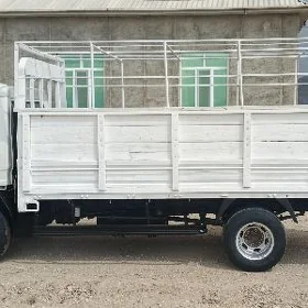 Forland H2 2011