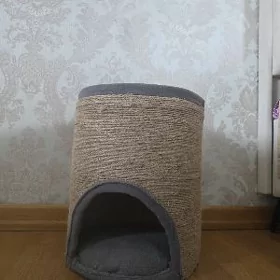 Когте точка с домиком