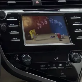 camry monitor