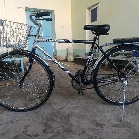 WELIK  28
