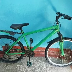 Turkmenistan tigir