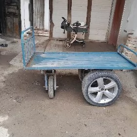 tacga satlik