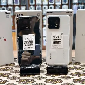 Xiaomi Mi 13 (12/512)