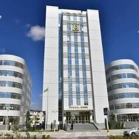 Satlyk Hususy Promisenya  Ofis