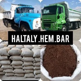 MITI PULPA NALOFKA KEREMSIT GM