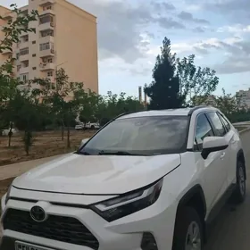 Toyota RAV4 2023