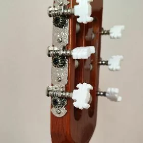 Gitara