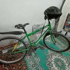 Turkmenistan tigir
