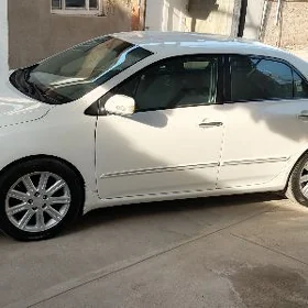 limitet 1 karolla R17