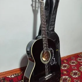 GIANINI TOKLY GITARA