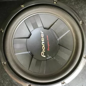 pioneer bocka