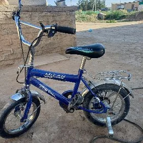 welik  12