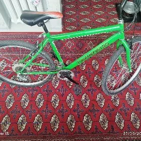 Tigirler