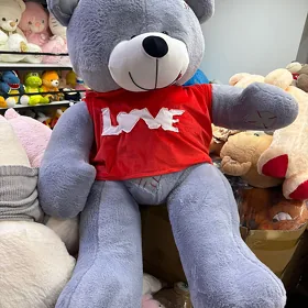 Teddy mişka