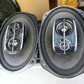 Pioneer kalonka