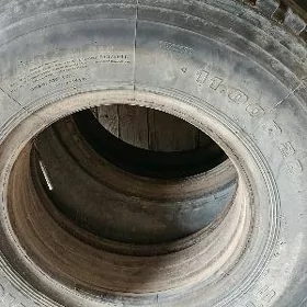 ayak
