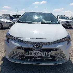 Toyota Corolla 2024