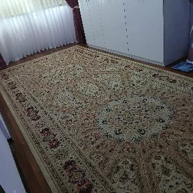 Ковёр (Haly)