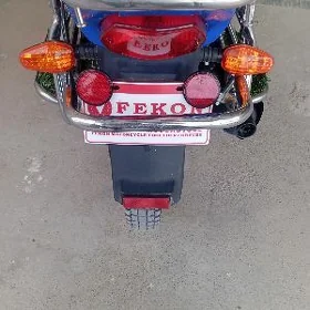 Fekon FK150-8G 2013