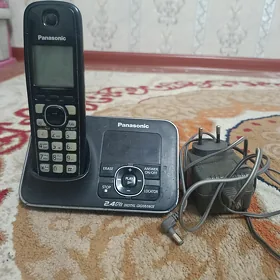 Domaşny tel