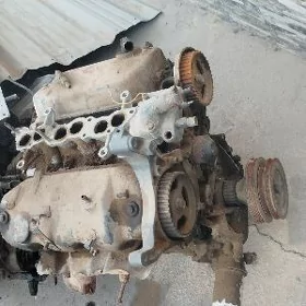 Pajero Mator