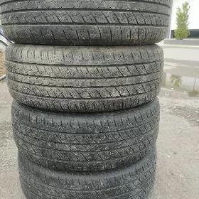 255 55 19 pakryska