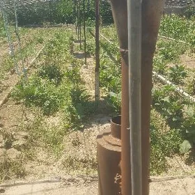 Teplissa üçin atapleniýa