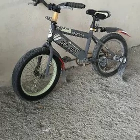 tigir