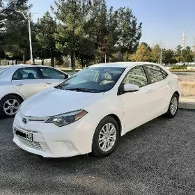 Toyota Corolla 2014
