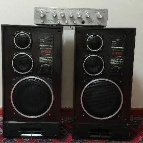 Бриг 001 +Радиотехника S90D