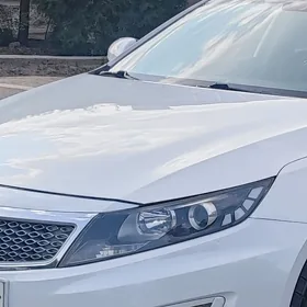 optima fara