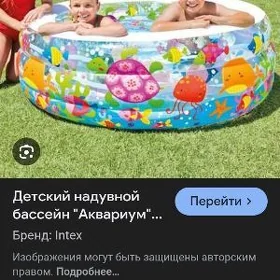 intexs