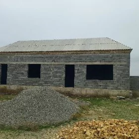 baherden jay