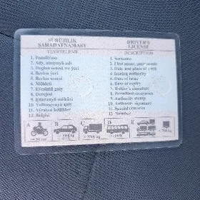 prawa tehpasort ŷitdi