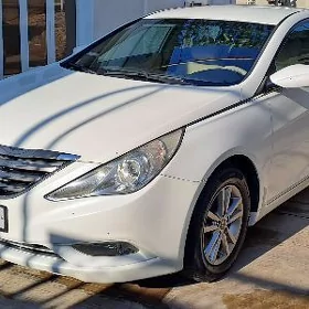 Hyundai Sonata 2010