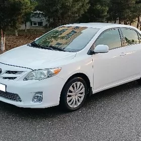 Toyota Corolla 2011