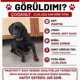 Gujik yitdi