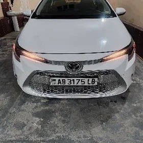 Toyota Corolla 2021