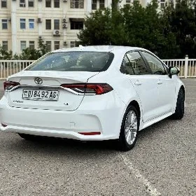 Toyota Corolla 2019
