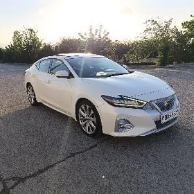 Nissan Maxima 2023