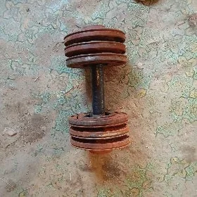 gantel