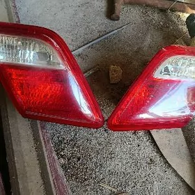 okuz kelle stopnik