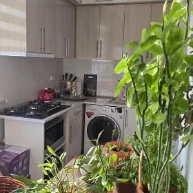 улица мопра