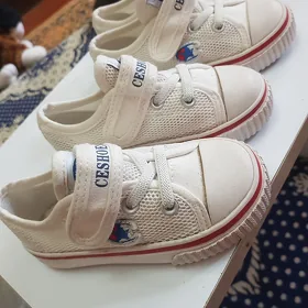 taze ketalar