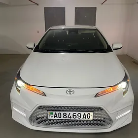 Toyota Corolla 2025