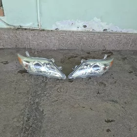 Okuz kelle onki çyra 11 morda